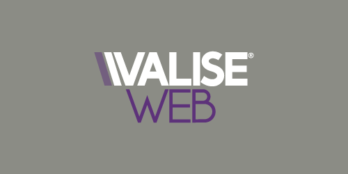 Valise Web Logo